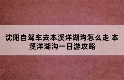 沈阳自驾车去本溪洋湖沟怎么走 本溪洋湖沟一日游攻略